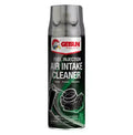 Air Intake Cleaner (450ml)
